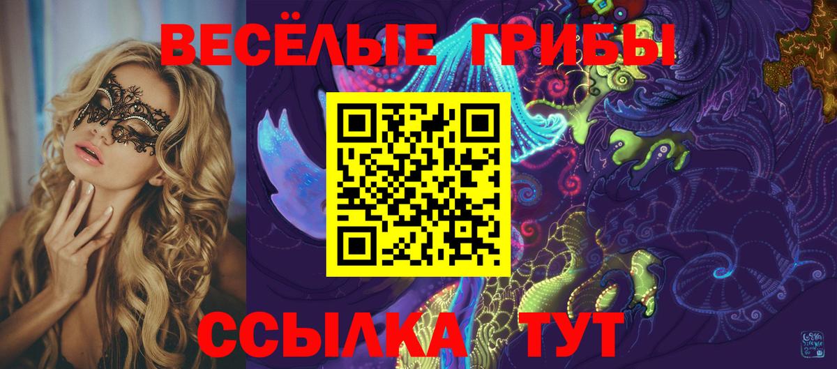 Псилоцибиновые грибы Cubensis Апатиты