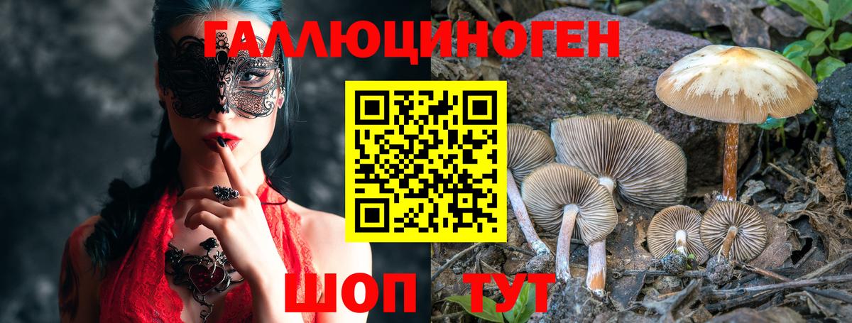 Апатиты  Псилоцибиновые грибы Magic Shrooms  Вход с VPN  Псилоцибиновые грибы Magic Shrooms 